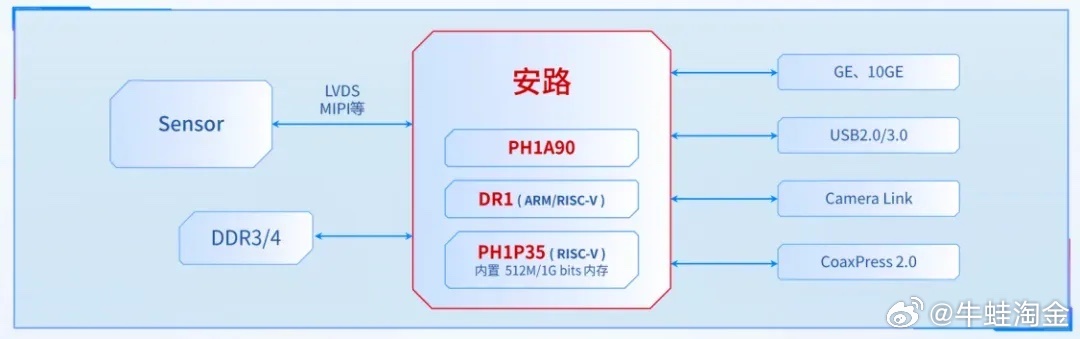 “100%准确一码定肖，安全设计策略揭秘——FRV374盒装版详解”