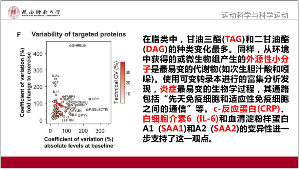 2024澳门资料大全正版资料免费,内容执行解答解释_主力版50.232