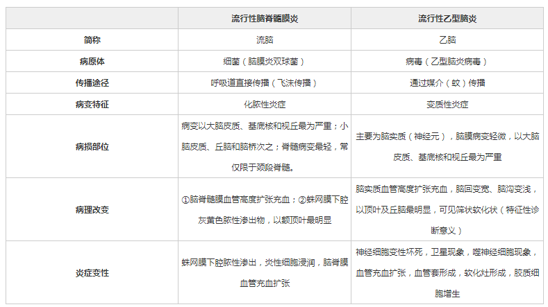 2024新奥资料免费精准109,定性解读说明_虚拟型97.349