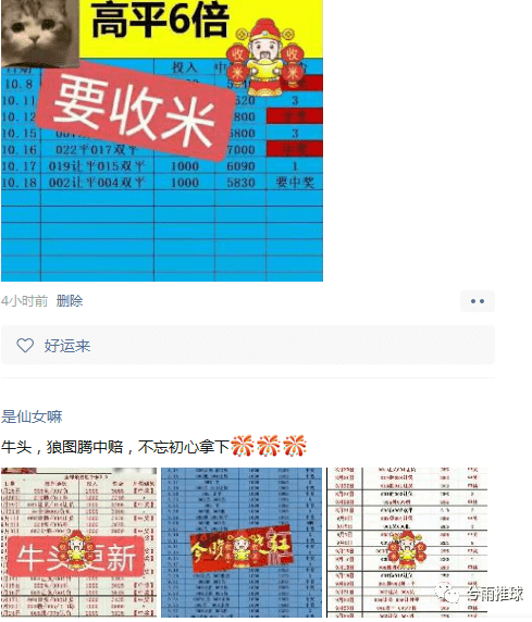 2024新澳门天天开好彩大全正版,细致现象解释解答解析_8DM42.249